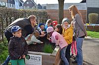 Bepflanzung Hochbeet Kindergarten Freindorf 04/2016